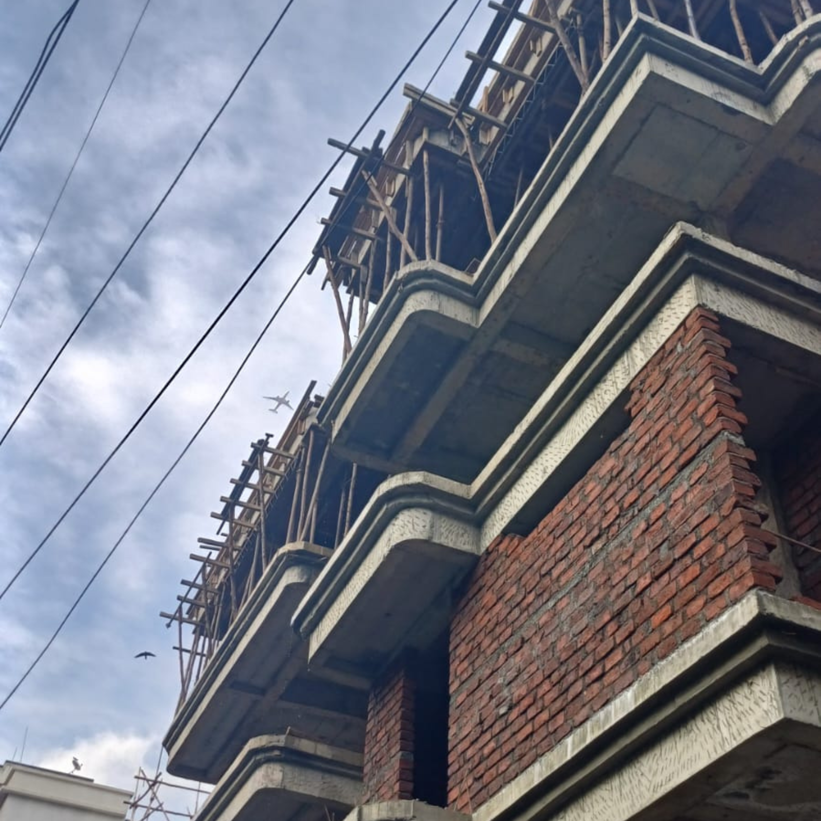 Untitled design (95)